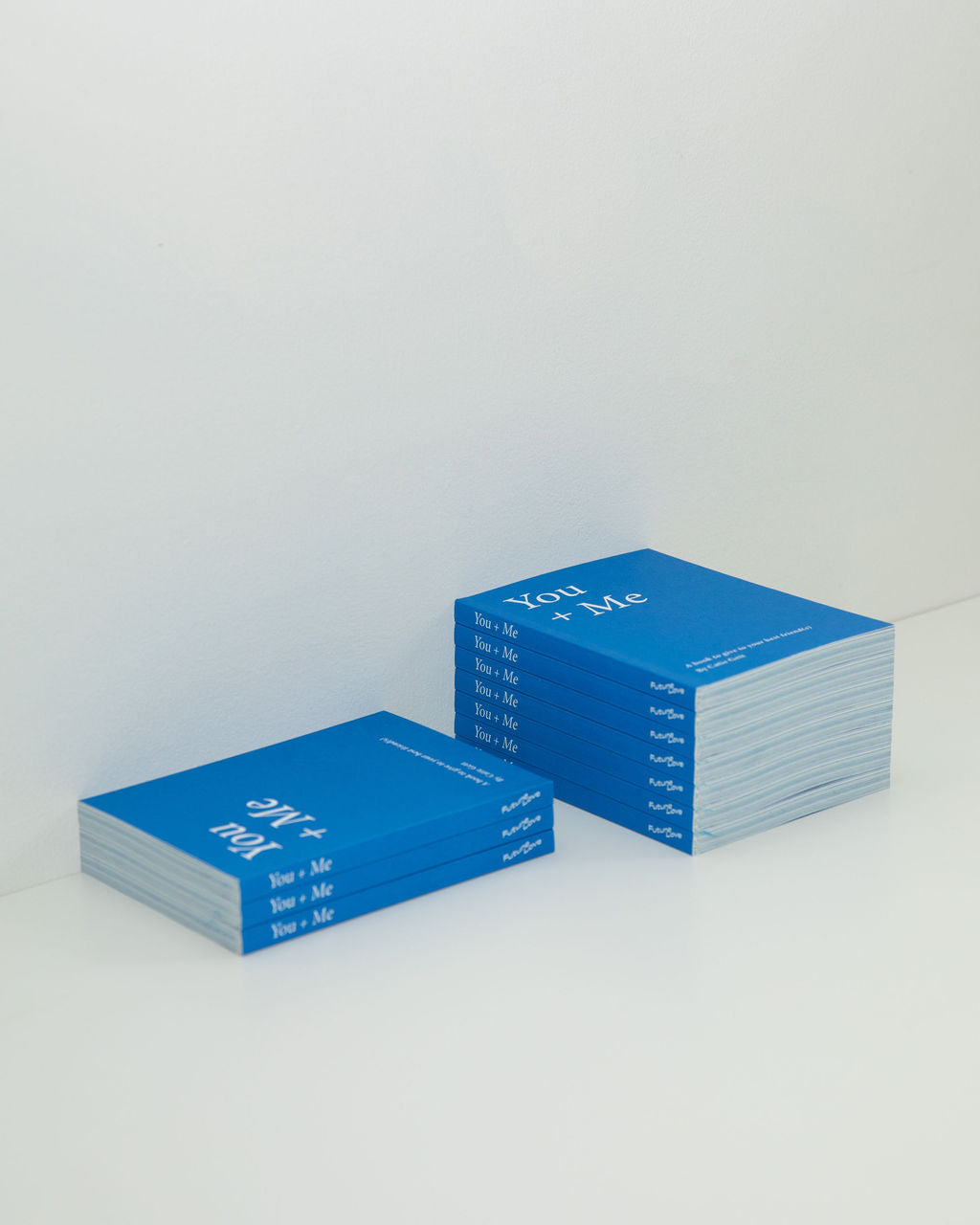 You + Me (A book to give to your best friend/s)